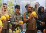 Pj Gubernur Kaltim, Akmal Malik, memimpin panen raya buah melon di Sekolah Menengah Atas Negeri (SMAN) 3 Tenggarong, Kutai Kartanegara.